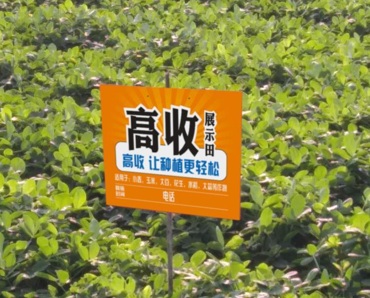 ewc电竞中国官网首页- 阿尔特塔轮换策略收奇效  